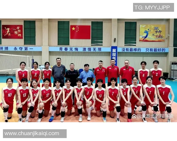 深圳排球队个人能力分析与联赛表现评估