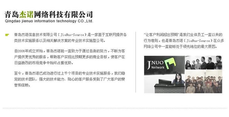 互联网提供各类技术实施服务以及相关解决方案的专业技术实施型公司